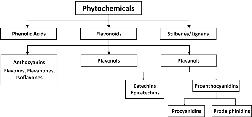 Phytochemical chart